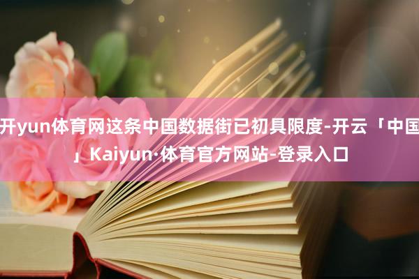 开yun体育网这条中国数据街已初具限度-开云「中国」Kaiyun·体育官方网站-登录入口