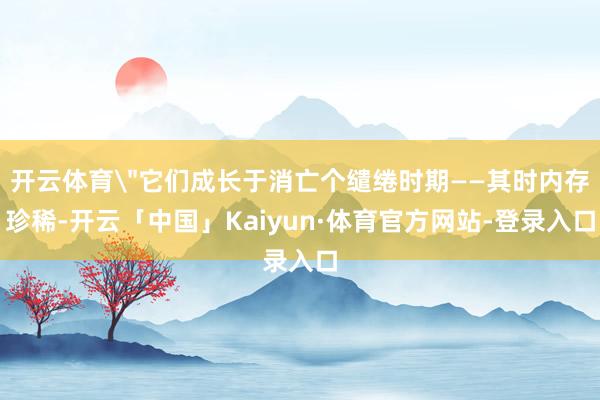 开云体育