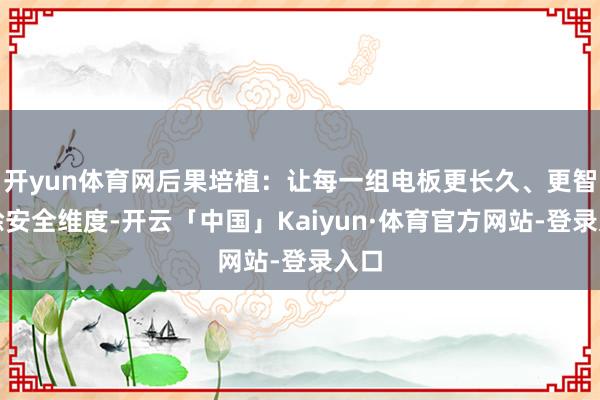 开yun体育网后果培植：让每一组电板更长久、更智谋除安全维度-开云「中国」Kaiyun·体育官方网站-登录入口