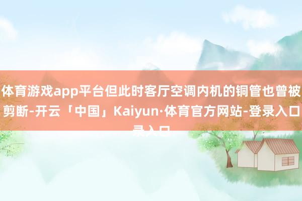 体育游戏app平台但此时客厅空调内机的铜管也曾被剪断-开云「中国」Kaiyun·体育官方网站-登录入口