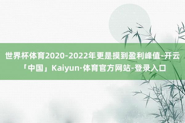 世界杯体育2020-2022年更是摸到盈利峰值-开云「中国」Kaiyun·体育官方网站-登录入口