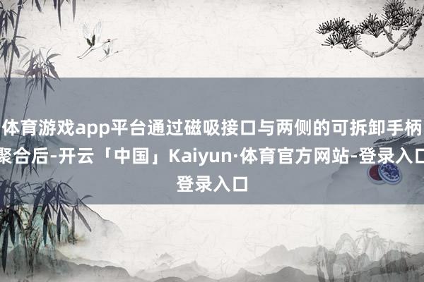 体育游戏app平台通过磁吸接口与两侧的可拆卸手柄聚合后-开云「中国」Kaiyun·体育官方网站-登录入口