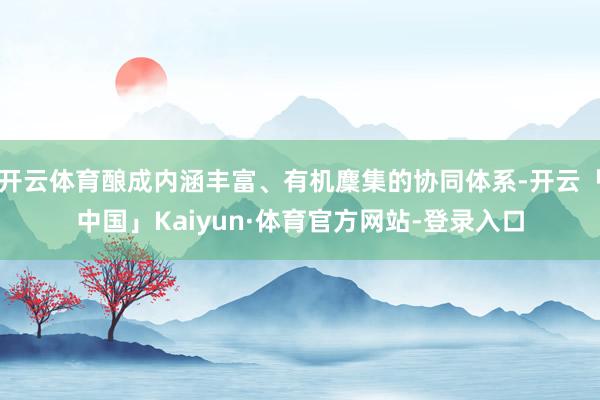 开云体育酿成内涵丰富、有机麇集的协同体系-开云「中国」Kaiyun·体育官方网站-登录入口